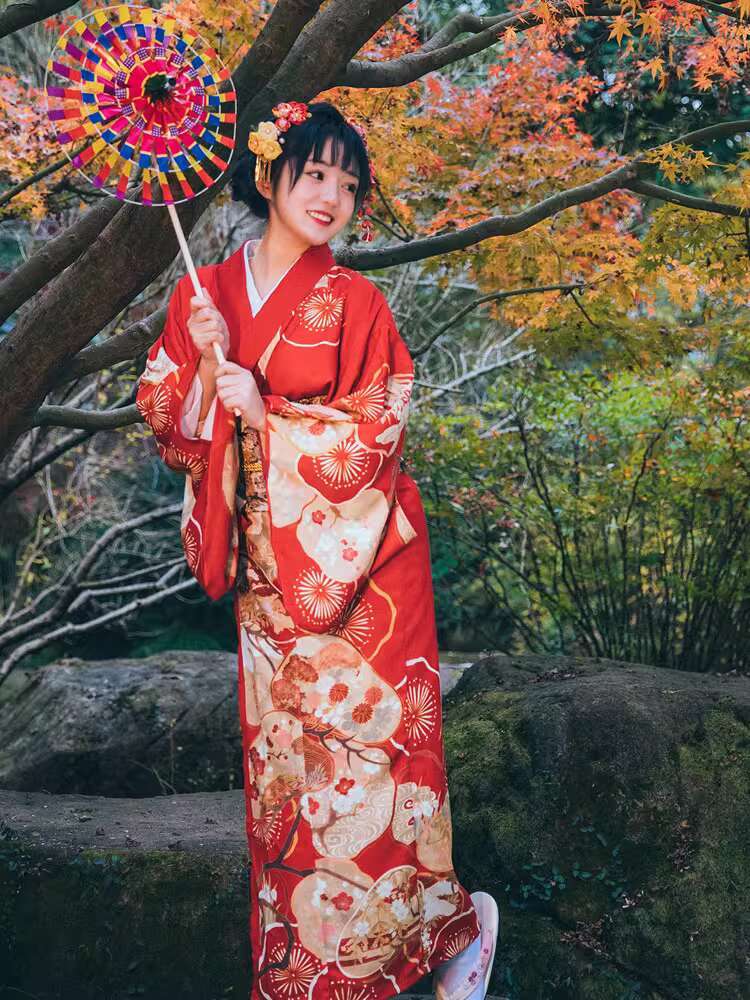 Kimono Modified Women Japanese - Formal Women'S Wear review and price