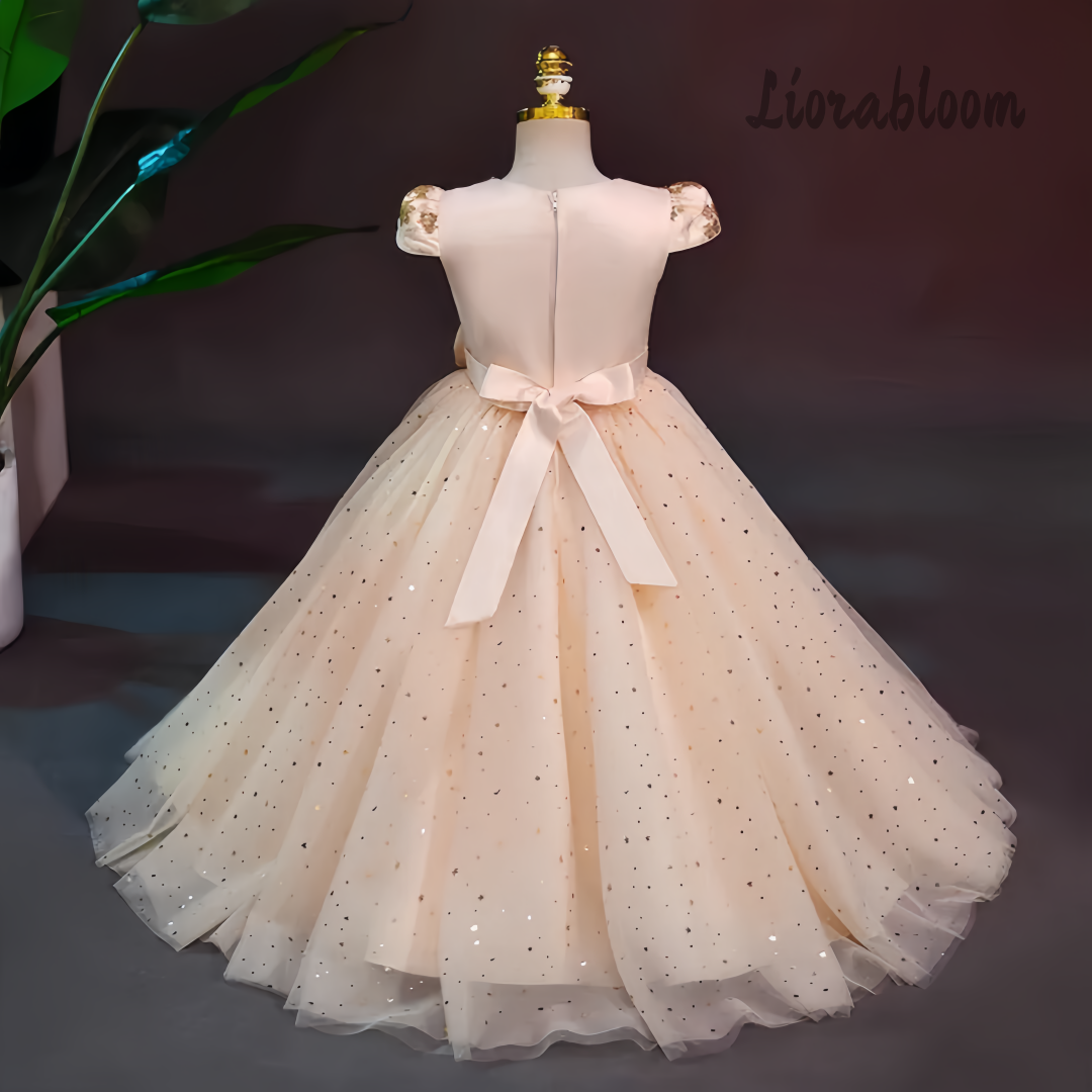 Formal Multicolor Evening Gown - Women'S Formal Wear For Girls review and price
